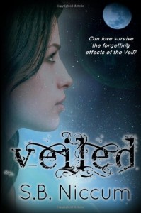 Book Review: Veiled