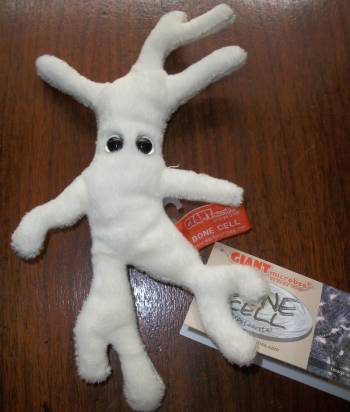 GIANTmicrobes Introduces the Bone Cell