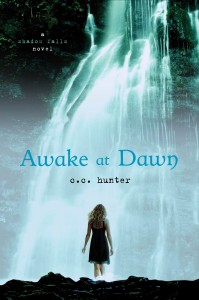 Book Review: Awake at Dawn
