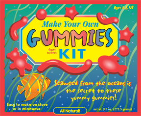 Glee Make Your Own Gummies Kit Review