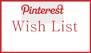 My Pinterest Wish List: Options They Need Now