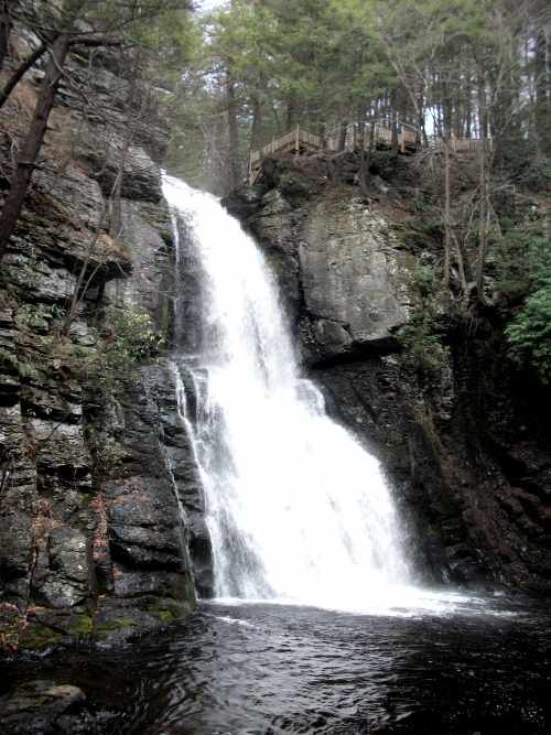 Bushkill Falls (The Niagara Of Pennsylvania): Fun Things To Do in The Poconos
