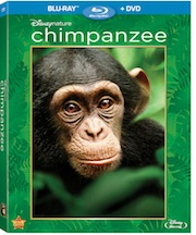 A Peek at DisneyNature's Chimpanzee Blu-ray™ Combo Pack