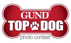 Enter Your Dog in the GUND Top Dog Contest