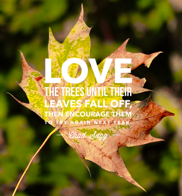 9 Beautiful & Inspirational Quotes about Autumn