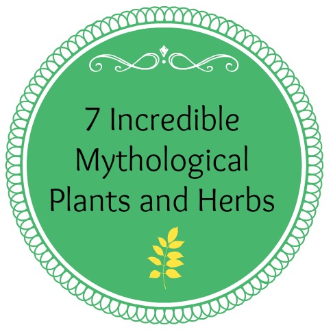 7 Mythological Plants and Herbs