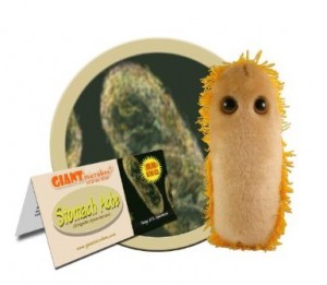 Giant Microbes Unique Father's Day Gift Ideas