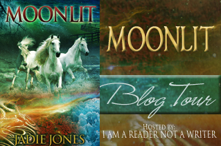 Moonlit Tour Banner