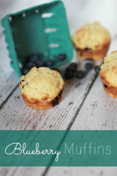 Blueberry Recipes: Blueberry Muffins