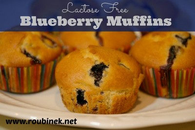 Blueberry Recipes: Lactose-Free Blueberry Muffin