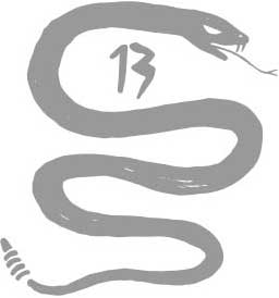 registration-snake-img