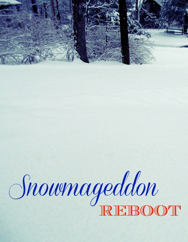 Snowmageddon 2014