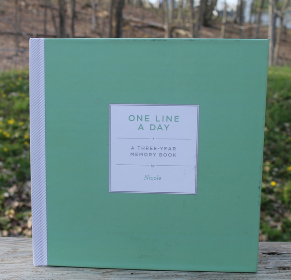 One Line a Day Journal for Busy Moms