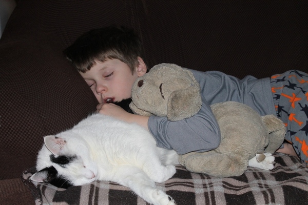 Jacob using the cat as a pillow