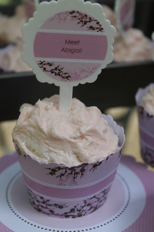 BigDot Meet Abigail Cupcakes 3