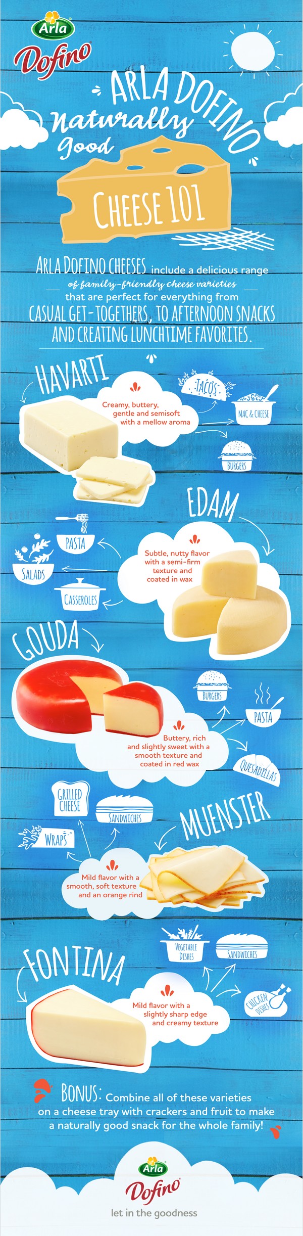 Arla Dofino Cheese 101 Infographic copy