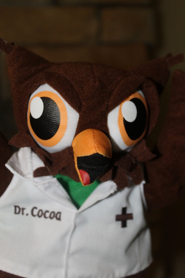 Dr. Cocoa Take Some of the Challenge Out of Medicating Your Sick Child