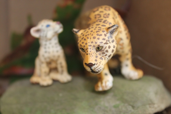 Learning Through Play with Schleich Animals: Who Lives in Our Backyard?