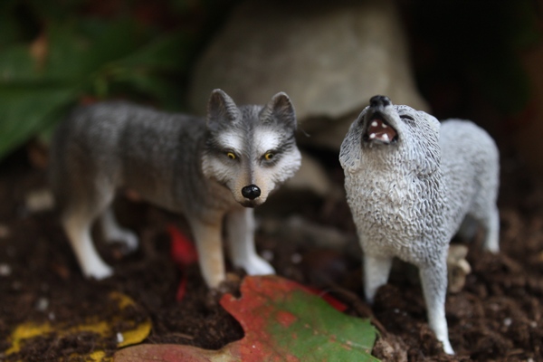 Learning Through Play with Schleich Animals: Who Lives in Our Backyard?