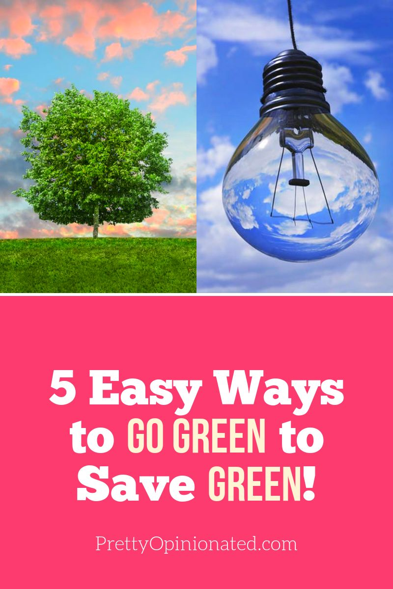 Going green doesn't have to cost a fortune. In fact, there are a few things you can do that will actually save you money in the long run. Check them out!
