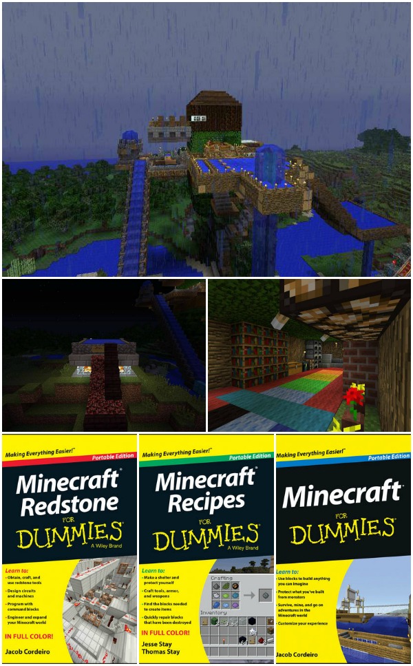Minecraft for Dummies Review