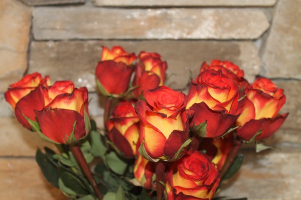 Looking for stunning Valentine's Day flowers that go beyond basic bouquets? You have to check out Bouqs! Their gorgeous flowers are sent from a Volcano!