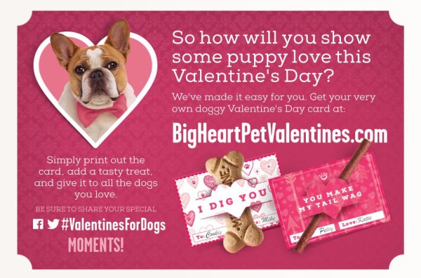 Valentine’s for Dogs – Say I LOVE YOU with treats! 