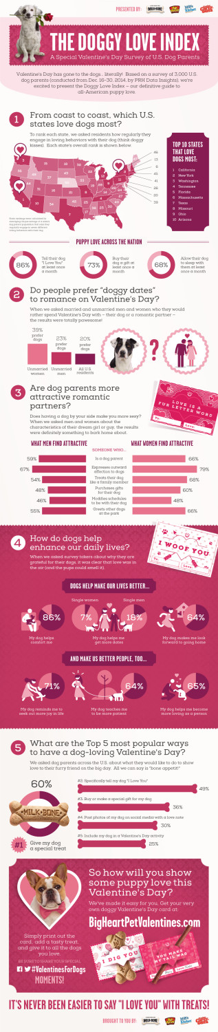 Valentine's Day for Dogs