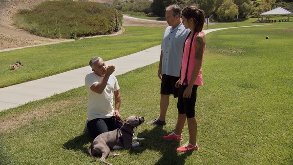 LOS ANGELES, CALIF.: Cesar is on the ground with Nani explaining to Sydney and her father about the dogs behavior. (Photo credit: © National Geographic Channels / )