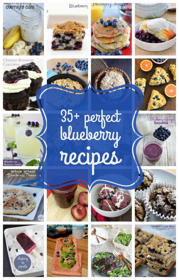 Got a ton of blueberries on hand but don't know what to do with them? Check out these 35+ perfect blueberry recipes that you will be dying to try once you see them!