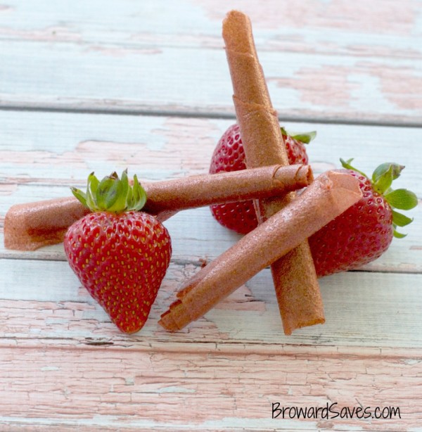 homemade-strawberry-fruit-roll-ups-4