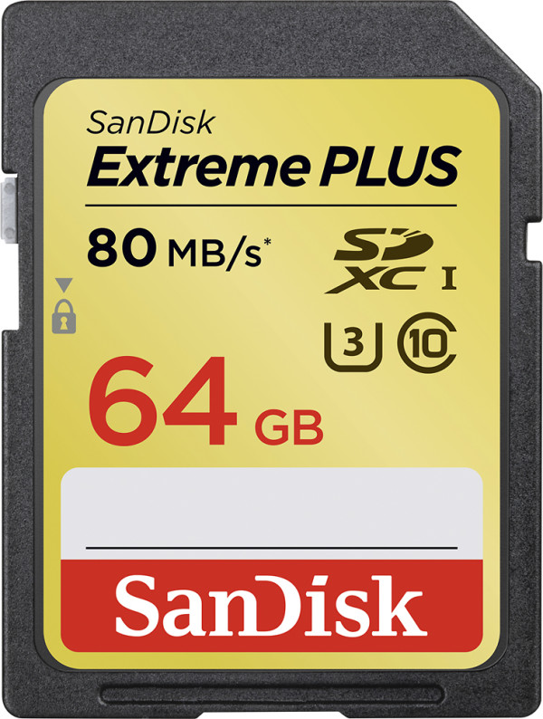 Keep Your Back to School memories safe with SanDisk