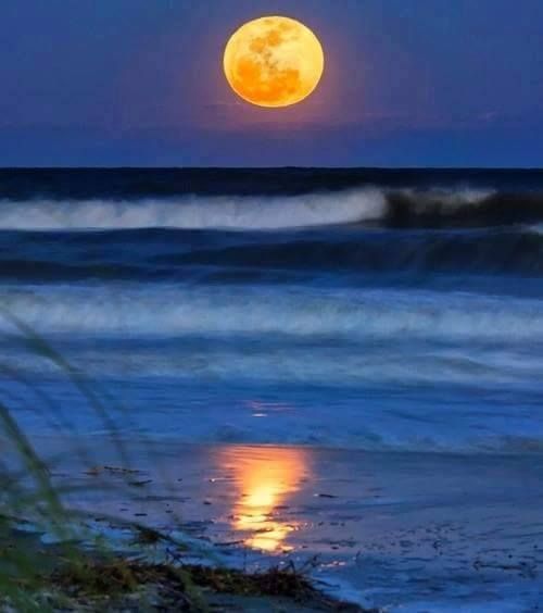 Gulf County Moonrise