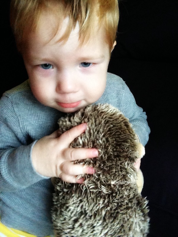 Cloud B's Hedgehog Stay Asleep Buddy is an adorable and cuddly sleep trainer that helps your littlest ones learn to self-soothe at bedtime and stay in bed longer in the morning. Check out our review! 