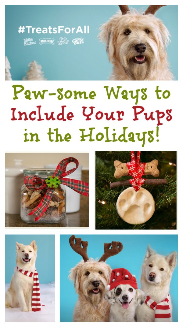 As the holiday countdown continues, today I'm sharing some fun ways to include your dog in the holidays with a few great DIY ideas that your pooch will love! Plus, check out fun survey results about how much we all love our pets during the season! 
