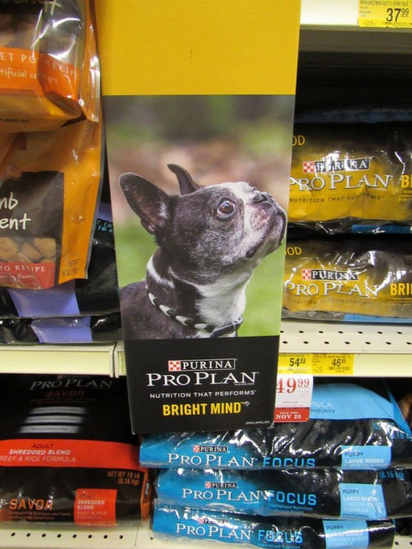Purina Pro Plan® BRIGHT MIND Adult 7+ formula at PetSmart