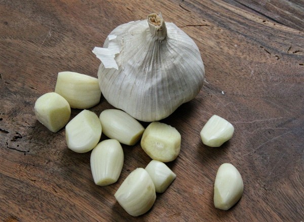 Of all the home remedies for toothaches, garlic in its many forms is the one that works the best for me. 