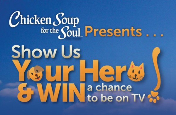 Chicken Soup for the Soul Pet Food presents Show Us Your Hero for a chance to be on TV!