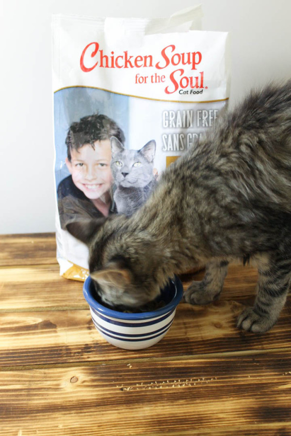 Want to help animals in need? Chicken Soup for the Soul Pet Food helps support shelter animals by featuring them on their bags and by donating a portion of the proceeds from each sale to organizations that care for shelter animals. 