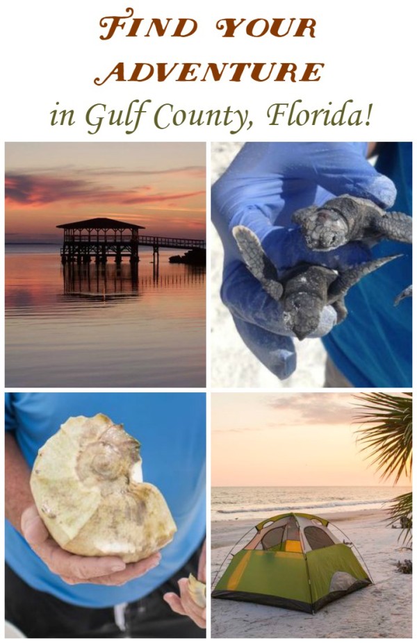 Find Your Adventure in Gulf County, Florida!