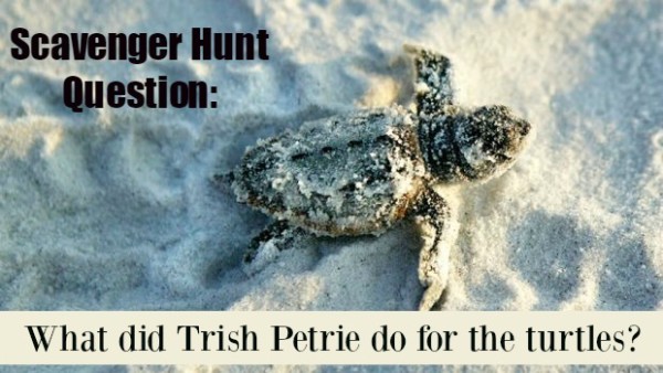 GCFL Scavenger Hunt Question: What did Trish Petrie do for the turtles? 