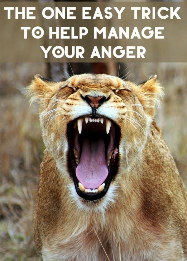  I used to be a really angry person. Like really, really angry. It took very little to send me into a screaming, yelling, crying, stomping my feet, red-faced fit. Then I taught myself one little trick that stopped it all. Anger? Manged. Just like that.