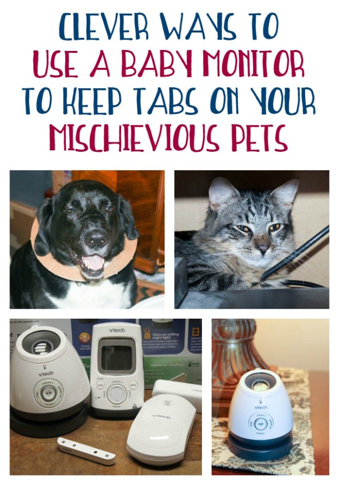 ways to use a baby monitor pets
