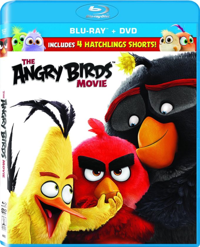 The Angry Birds Movie on Blu-Ray: Perfect for Mother/Son Movie Night!
