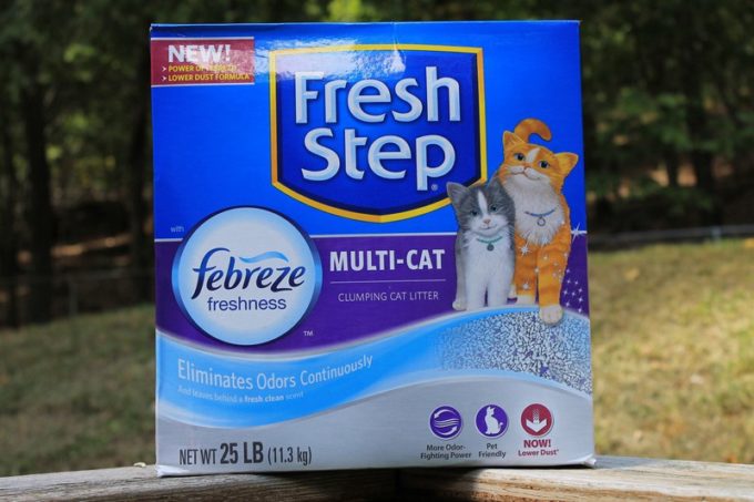 Say Goodbye to Stinky Litter Box Odors for 10 Days Straight with #FreshStepFebreze #Unsmellable