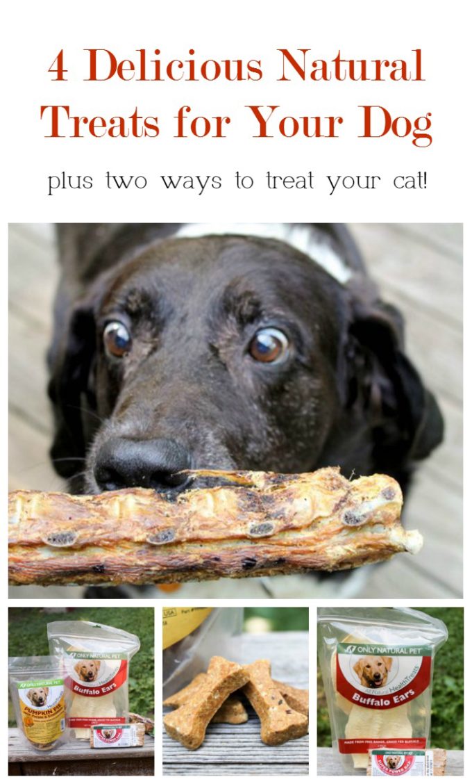 Treat your dog to yummy, all-natural goodies plus check out two ways to take care of your cat's health! 