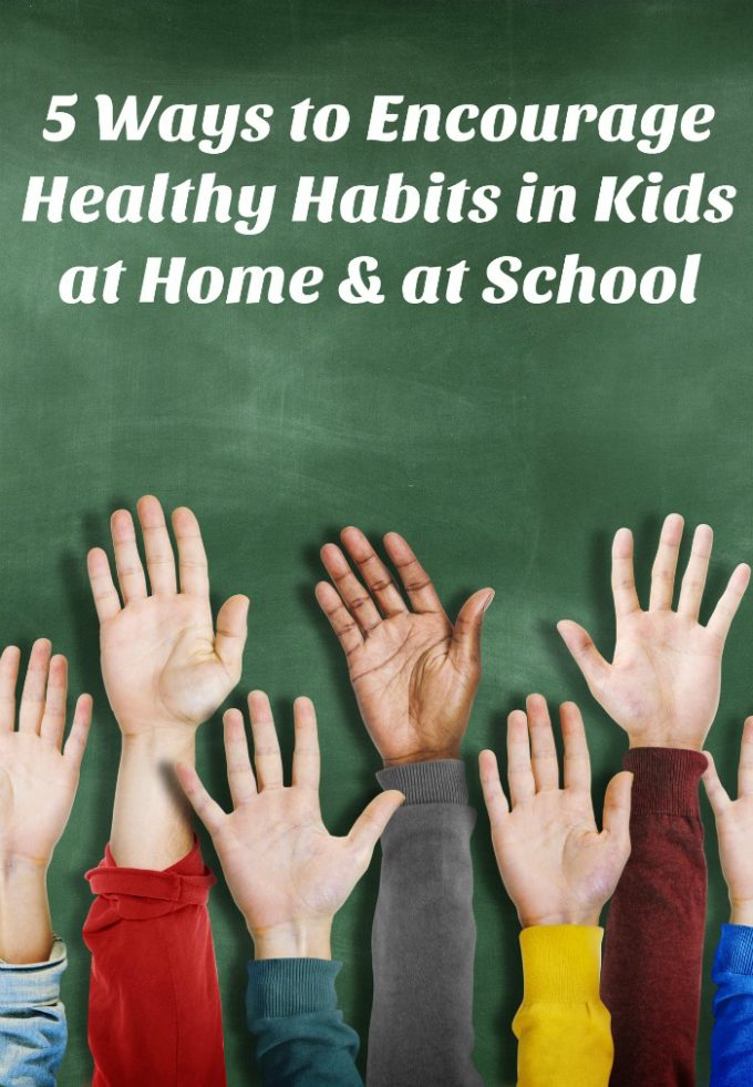 Check out 5 things you can do at home to help support your school's Healthy Habits program & keep all of our kids healthier this school year! 