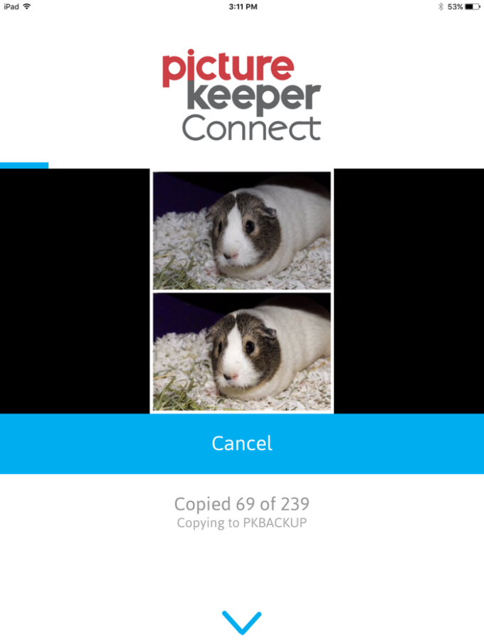 picturekeeperconnect-app-ss-3