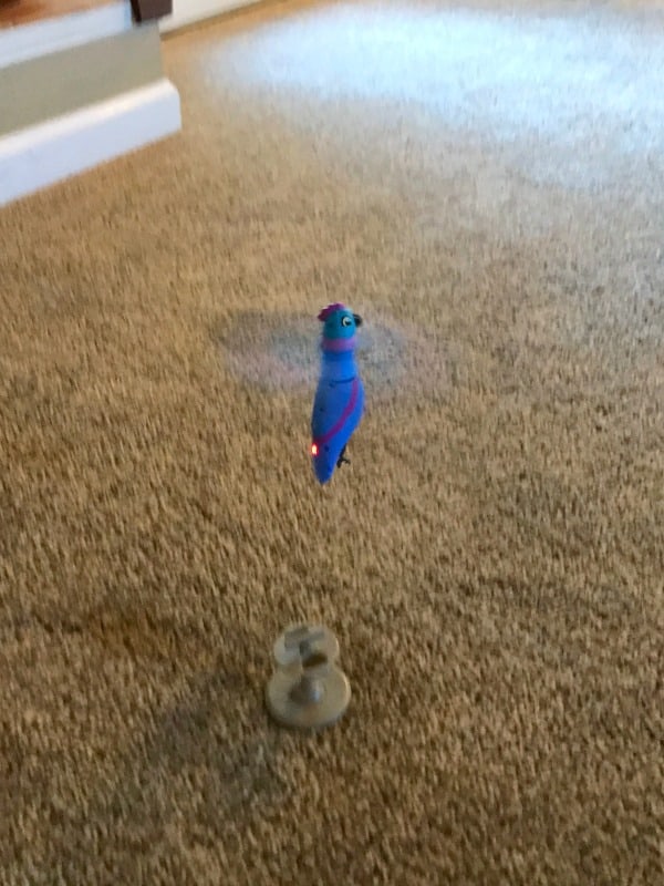 zippi-pets-flying-hummingbird-toy