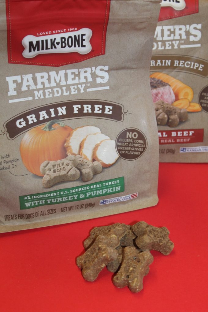 Finding Grain-Free & Whole Grain Dog Biscuits Is Easier Than Ever!